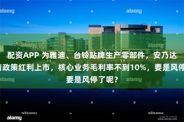 配资APP 为雅迪、台铃贴牌生产零部件，安乃达：吃着政策红利上市，核心业务毛利率不到10%，要是风停了呢？