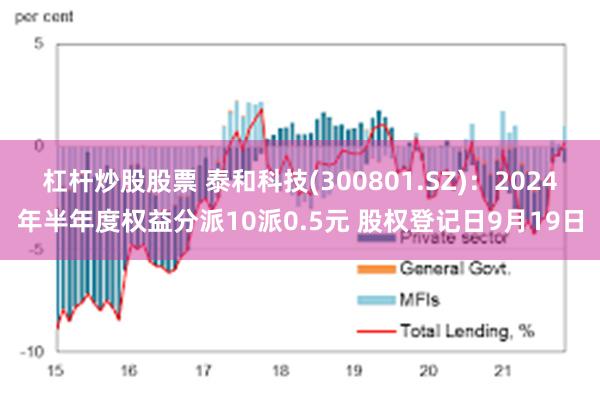 杠杆炒股股票 泰和科技(300801.SZ)：2024年半年度权益分派10派0.5元 股权登记日9月19日