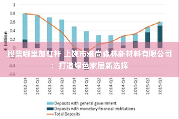 股票哪里加杠杆 上饶市雅尚森林新材料有限公司：打造绿色家居新选择