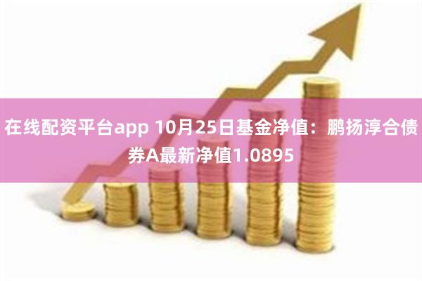 在线配资平台app 10月25日基金净值：鹏扬淳合债券A最新净值1.0895