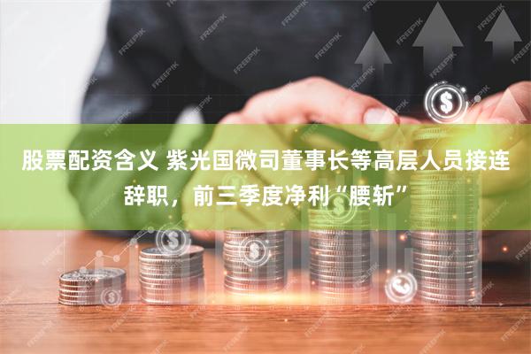 股票配资含义 紫光国微司董事长等高层人员接连辞职，前三季度净利“腰斩”