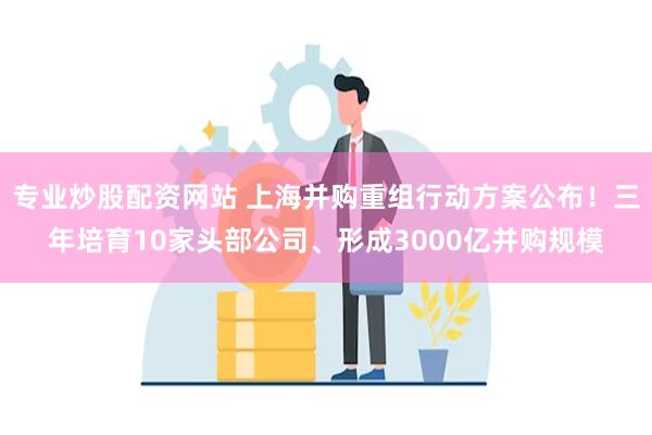 专业炒股配资网站 上海并购重组行动方案公布！三年培育10家头部公司、形成3000亿并购规模