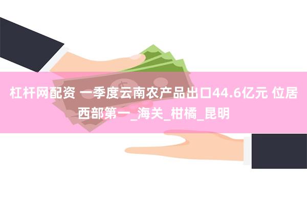 杠杆网配资 一季度云南农产品出口44.6亿元 位居西部第一_海关_柑橘_昆明