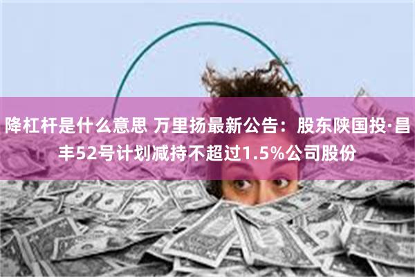 降杠杆是什么意思 万里扬最新公告：股东陕国投·昌丰52号计划减持不超过1.5%公司股份